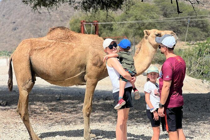 Mountain Safari, Camels, waterfalls & lunch (Group Tour) - A Full-Day Safari Through Dhofar’s Big Natural Hits