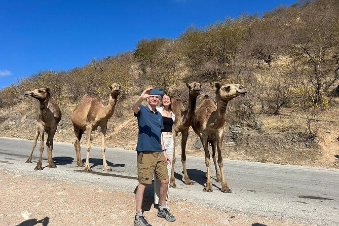 Mountain Safari, Camels, waterfalls & lunch (Group Tour) - Wadi Darbat Waterfalls and Paddling Options