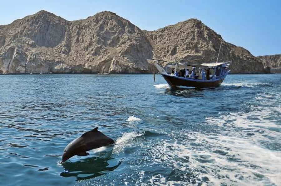 Musandam Khasab Full-Day Cruise with Transfers & Lunch - Telegraph Island swim and snorkel: where the day turns into water time