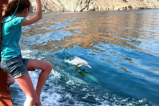 Musandam Khasab Full day dhow cruise with Lunch - Wildlife Odds: Dolphins, Marine Life, and How to Increase Your Chances