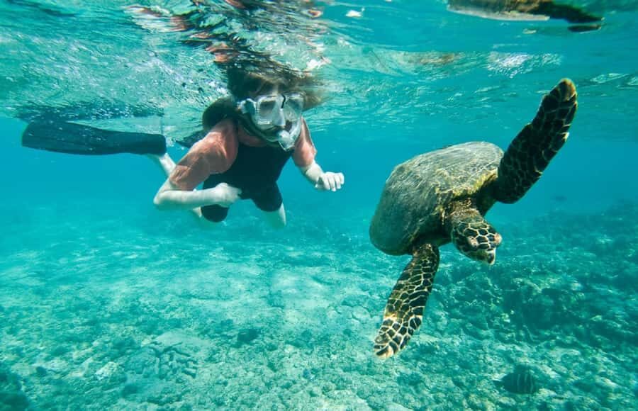 Muscat: 4-Hour Snorkeling Tour with Dolphin watching - Boarding Time: Free Snorkeling Gear, Life Jackets, and On-Boat Snacks