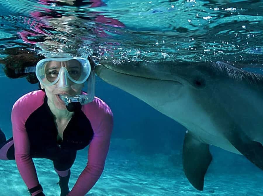 Muscat: 4-Hour Snorkeling Tour with Dolphin watching - Timing and How to Enjoy the Whole 4 Hours