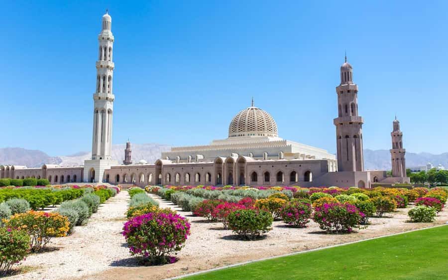 Muscat : 4 hours private Tour of Muscat City with Pick-up - Quick hits before you go