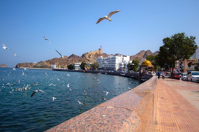 Muscat City Tour Full Day - Private Guided Tour from Muscat - Mutrah Souq: the old Muscat checklist for shopping