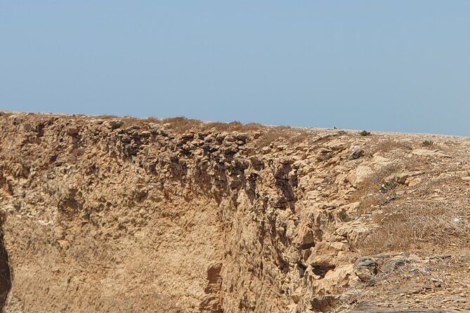 Muscat City Tour with All Language Guide - Al Alam Palace: photos near the gate, not a full visit