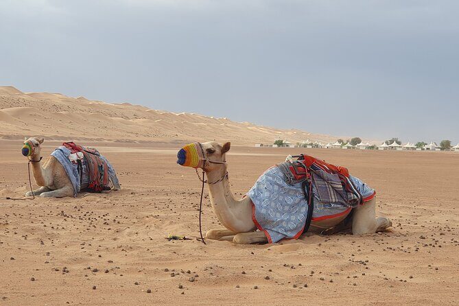 Muscat City Tour with All Language Guide - Timing, pickup, and avoiding the mid-tour stress