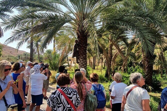 Muscat City Tour with All Language Guide - Royal Opera House Muscat: a quick hit of modern Omani design