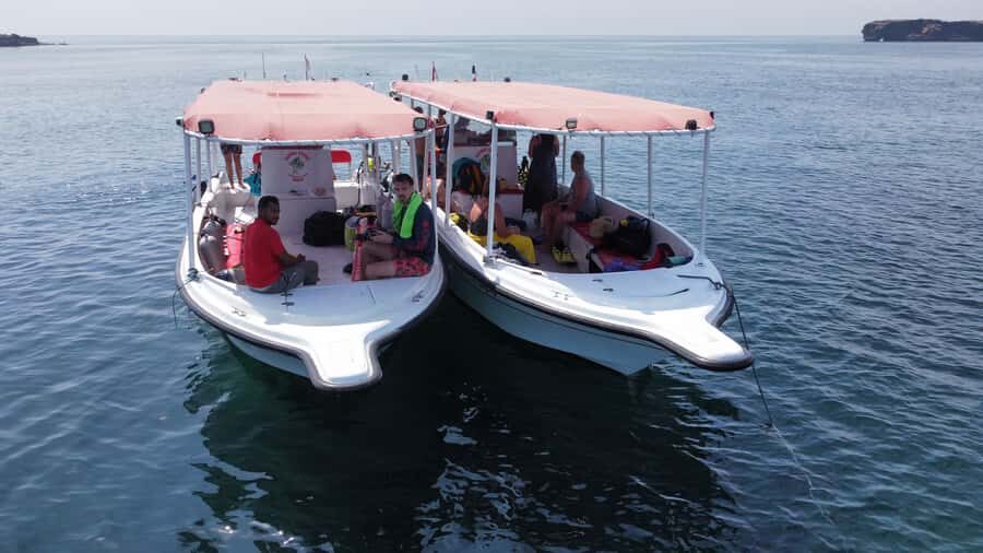 Muscat: Daymaniat Islands Scuba Diving for Beginners - What you’ll actually see: turtles, rays, sharks, eels, and reef color