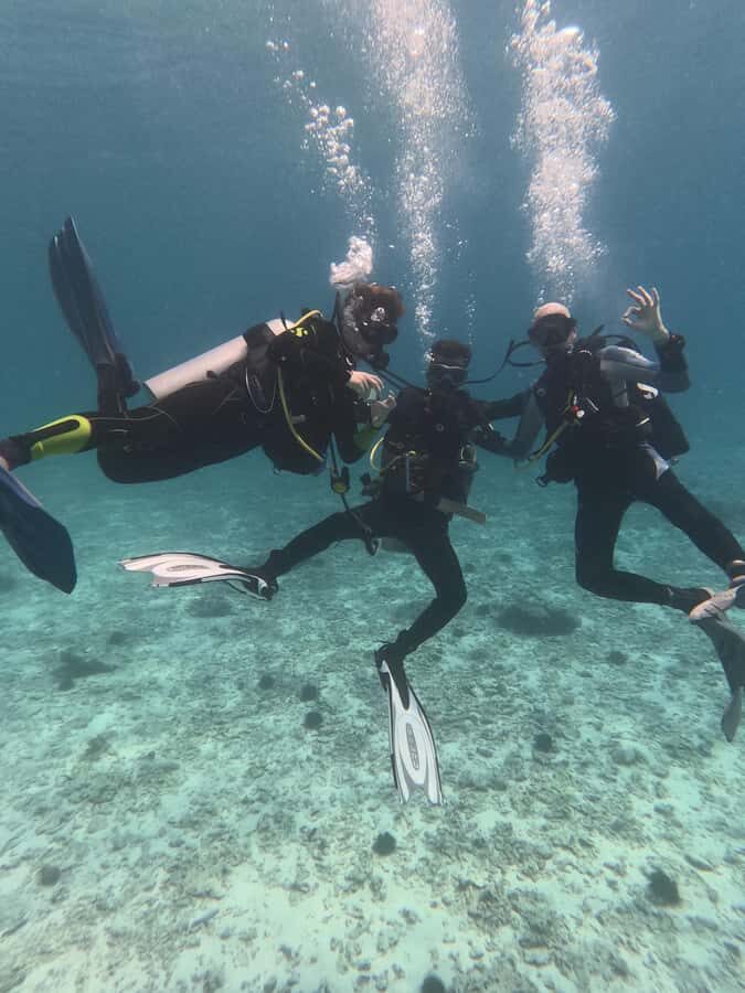 Muscat: Daymaniat Islands Try Scuba Diving - Should You Book This Muscat Daymaniyat Sea Trip?