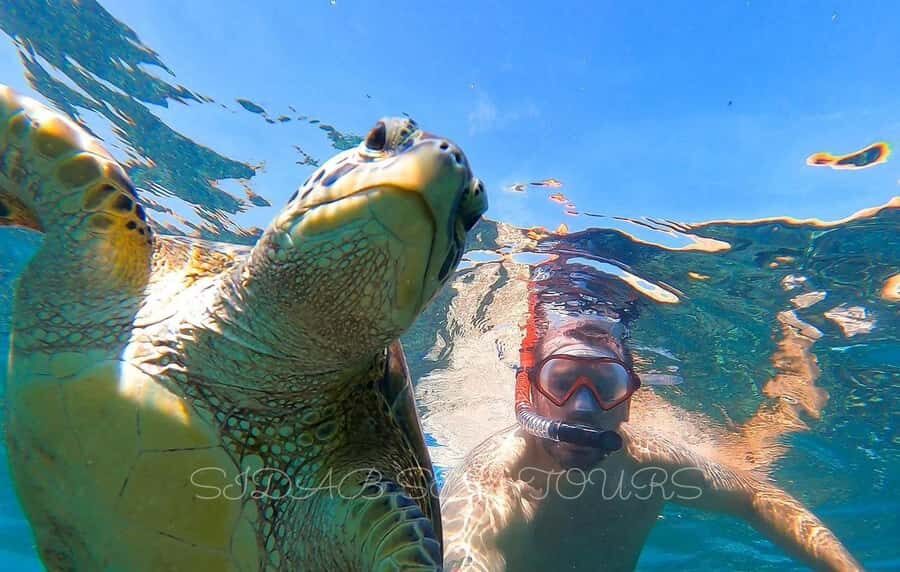 Muscat: Daymaniyat Island Snorkeling with Turtles Tour - Key highlights worth planning for