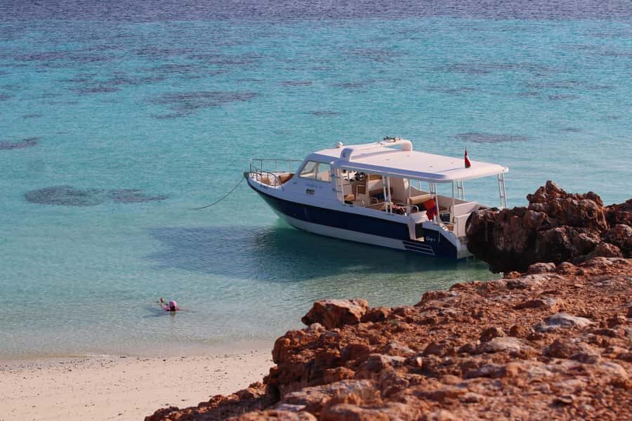 Muscat: Daymaniyat Island Snorkeling with Turtles Tour - Daymaniyat Islands: why this snorkeling trip feels special