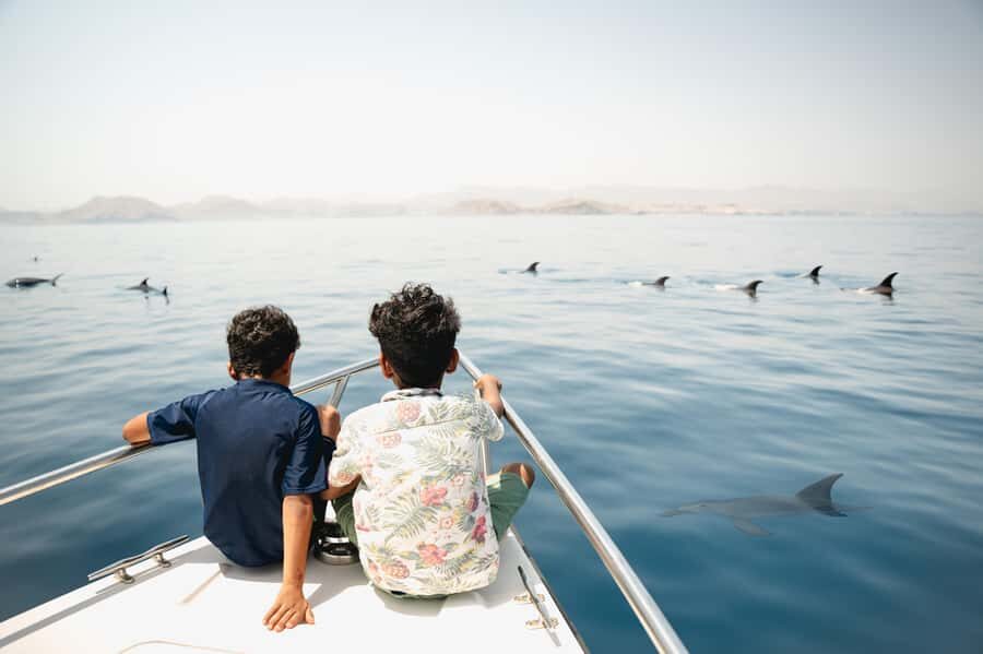 Muscat: Daymaniyat Islands Private Boat Tour with Snorkeling - Cruise to Daymaniyat: The Dolphin-Watching Part You Can Actually Enjoy