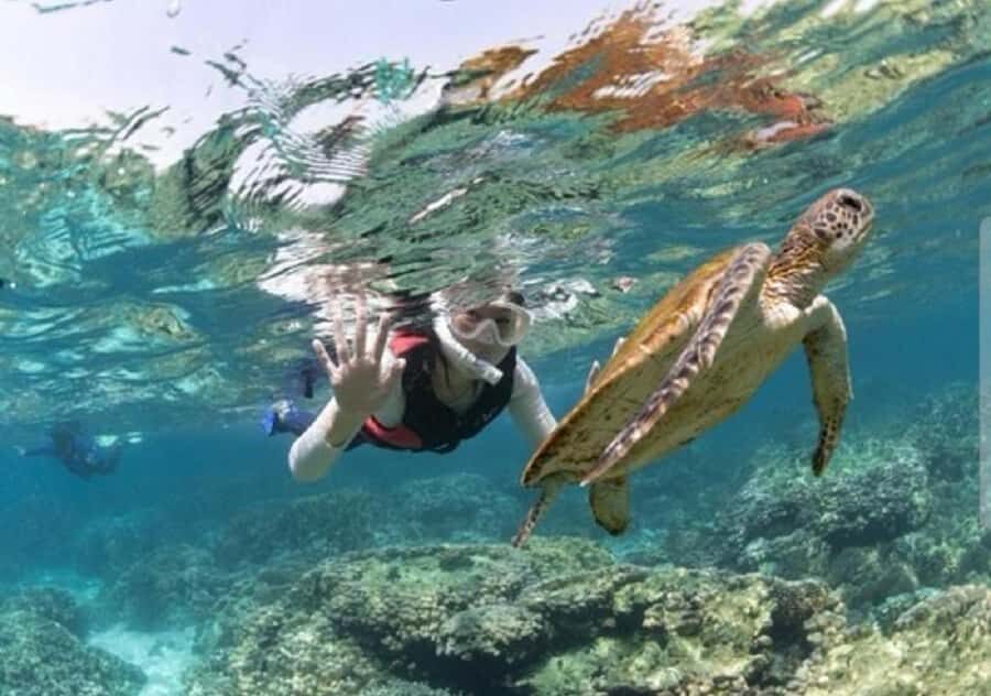 Muscat: Daymaniyat Islands Snorkeling Trip with BBQ Lunch - Key Things That Make This Trip Worth Your Time