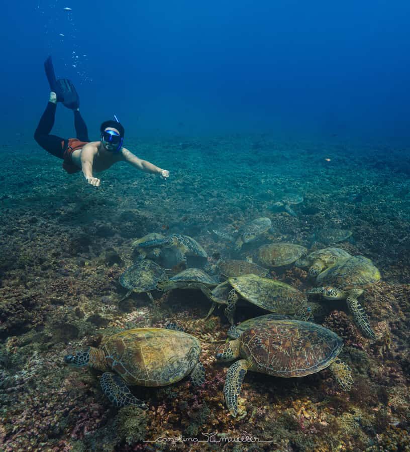 Muscat: Daymaniyat Islands Snorkeling Trip with BBQ Lunch - Daymaniyat Islands: The Real Reason You’re Doing This