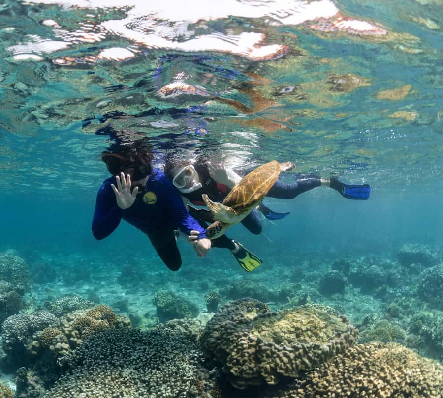 Muscat: Daymaniyat Islands Snorkeling Trip with BBQ Lunch - Value for $70: What’s Included and What You Should Consider