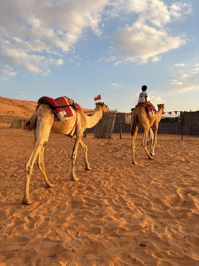 Muscat: Desert Sunset &Wadi Bnai Khalid Full-Day Tour+Lunch - Lunch, snacks, and unlimited water: simple, practical value