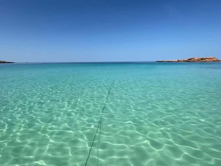 Muscat: Dolphin Watch & Snorkeling - Key things to know before you go