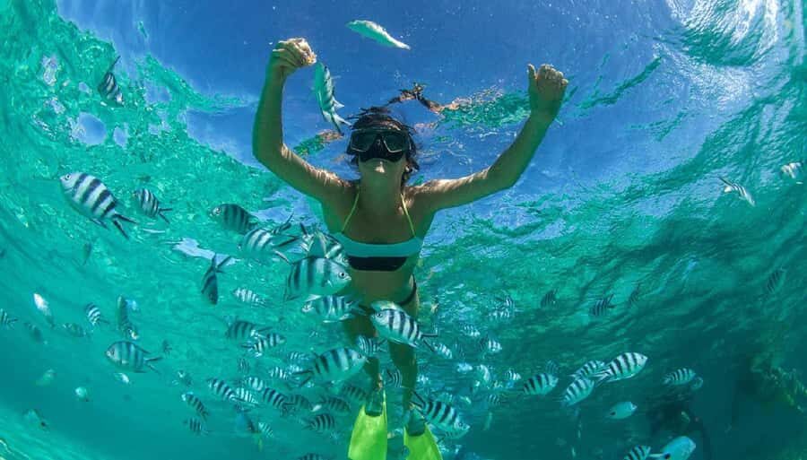 Muscat: Dolphin Watching and Snorkeling Tour - Captain Khaled and the guide: why the human factor matters