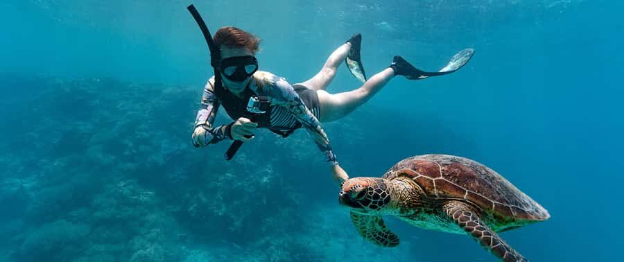Muscat: Dolphin Watching and Snorkeling Tour - Who should book this tour?