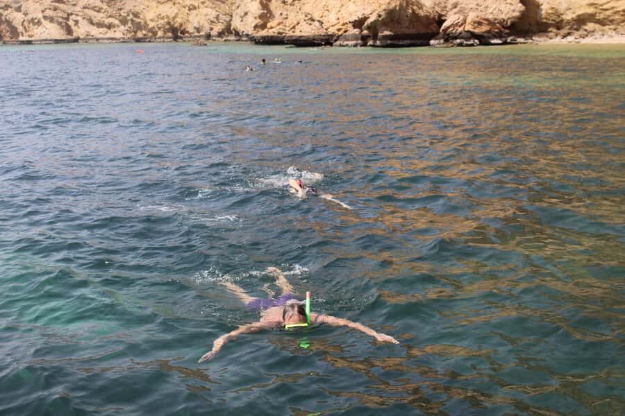 Muscat: Dolphin Watching and Snorkeling Tour By Speed Boat - Key Points That Matter Before You Go