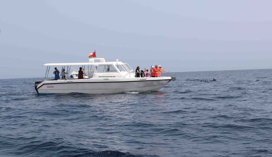 Muscat: Dolphin Watching and Snorkeling Tour By Speed Boat - Snorkeling at Bandar Khiran or Muscat Bay