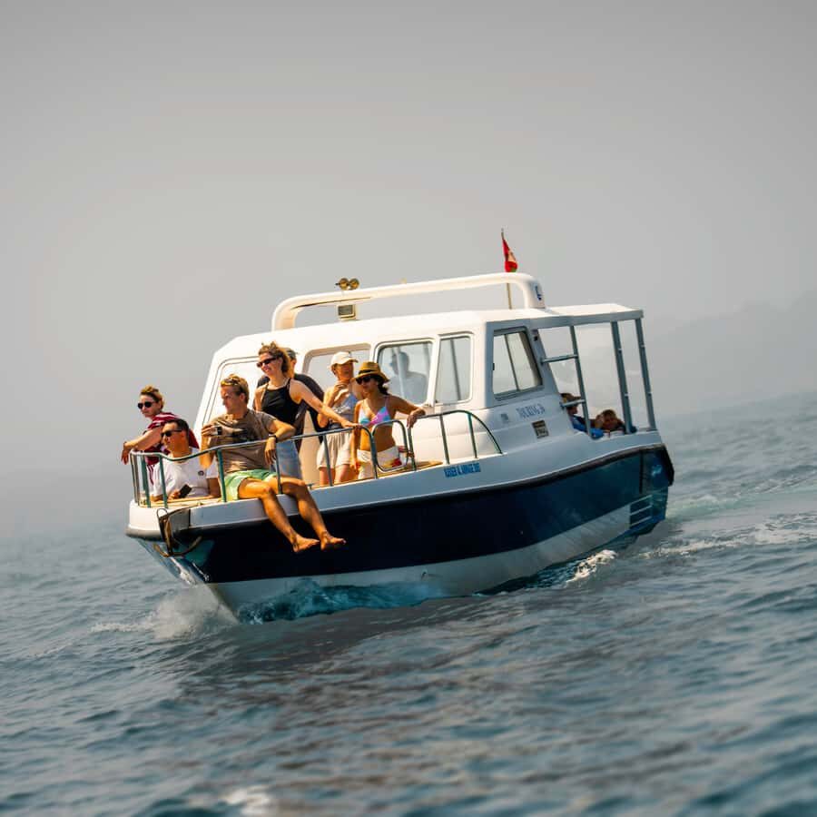 Muscat: Dolphin Watching and Snorkeling Trip - Key Things I’d Watch for on This Muscat Dolphin + Snorkeling Trip