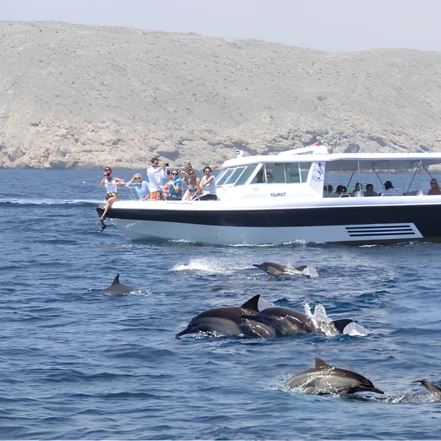 Muscat: Dolphin Watching and Snorkeling Trip - Price and Value: Is $57 a Good Deal in Muscat?
