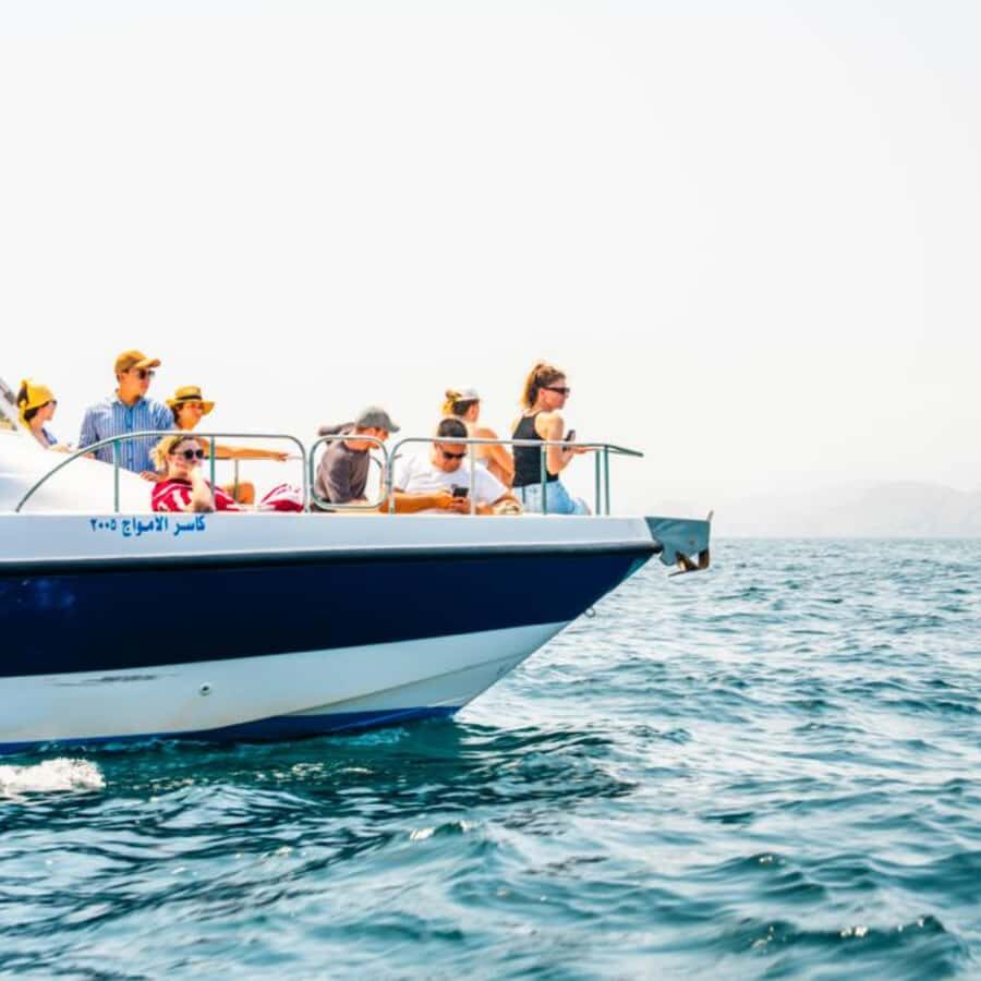 Muscat: Dolphin Watching and Snorkeling Trip - Who This Trip Is Best For (and Who Might Want Something Else)