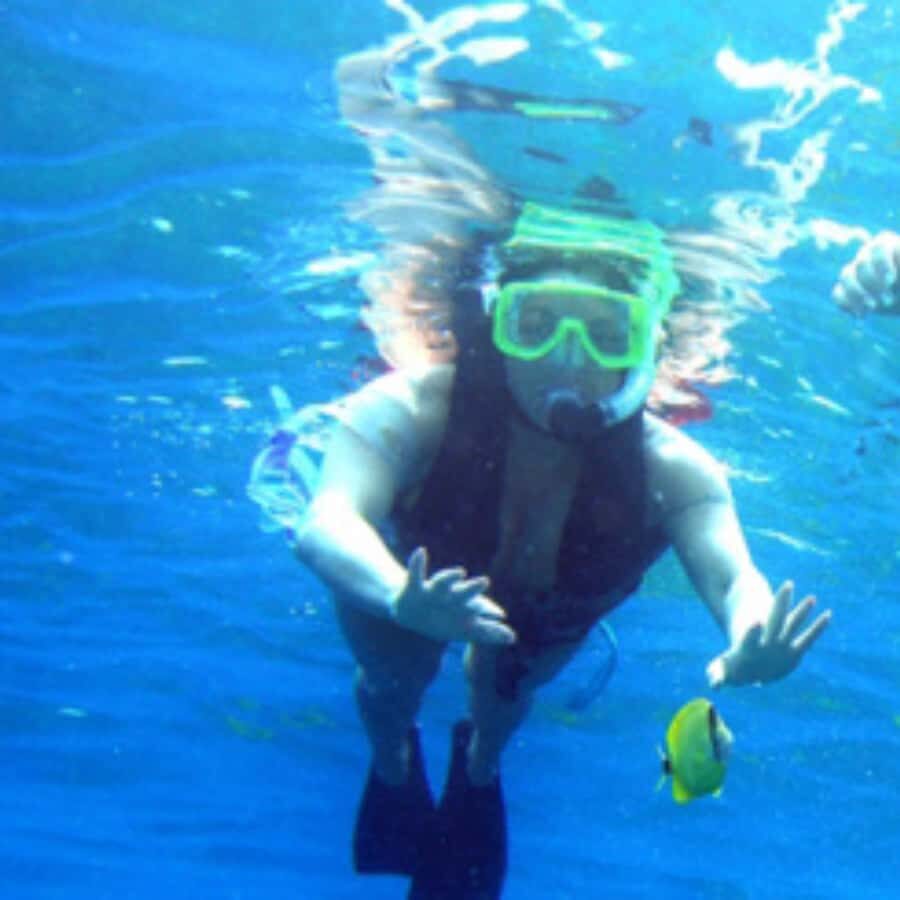 Muscat: Dolphin Watching and Snorkeling Trip - The Booking Checklist I’d Use Before You Go