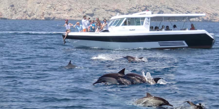 Muscat: Dolphin Watching Boat Tour - Two hours on the water: what you actually get from the ride