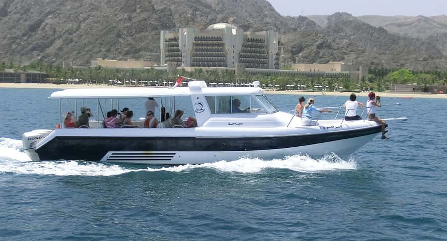 Muscat Dolphin Watching & Coastal Sightseeing Tour - Safety, crew skill, and what to expect from the captain
