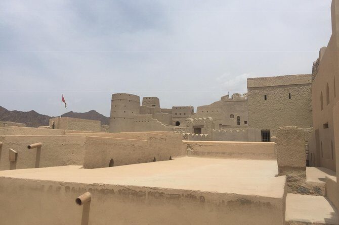 Muscat : Full day private tour to Nizwa - Nizwa Fort and the Nizwa market cattle scene
