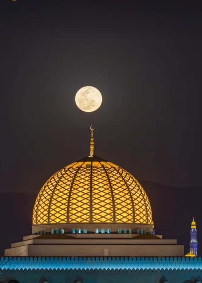 Muscat: Guided Landmarks Tour - Al Alam Palace: a photo stop with real political context