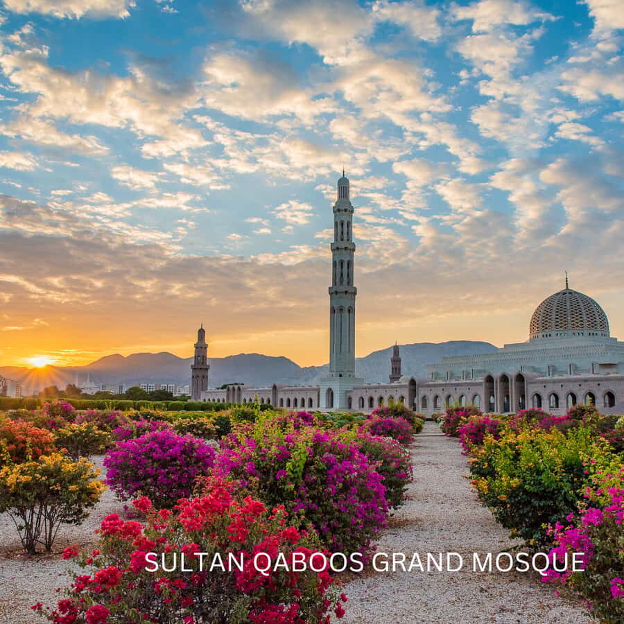 Muscat: Half Day-City Tour - Key highlights to know before you go