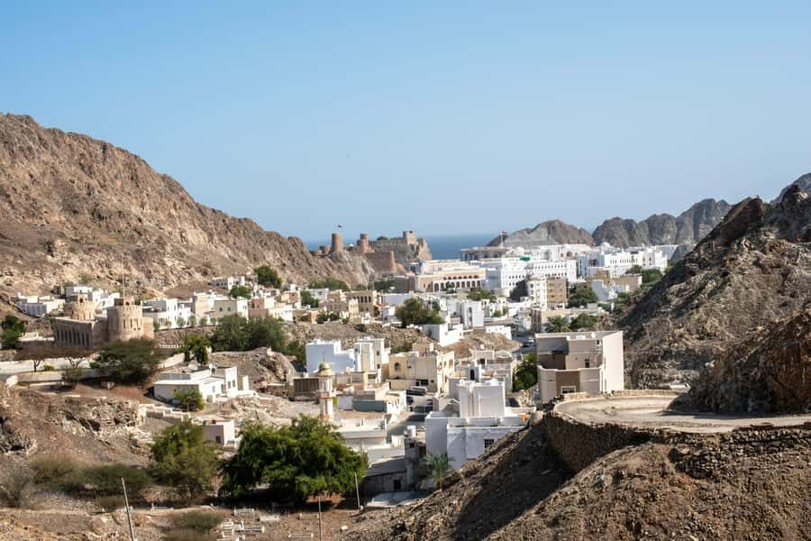 Muscat: Half Day-City Tour - Your guide experience: live English plus optional audio
