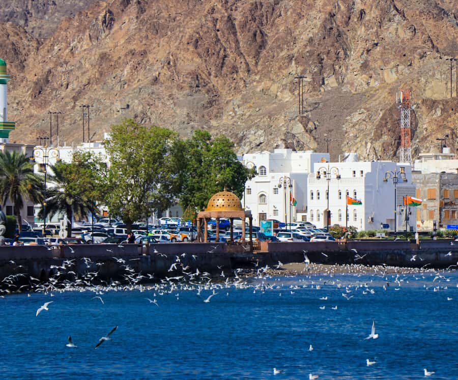 Muscat highlights : Private Muscat City Tour.. - What to wear and pack so the day flows