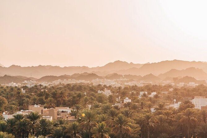 Muscat Shore Excursion: Private Nizwa Day Trip - Who Should Book This Nizwa Day Trip (and Who Should Skip It)