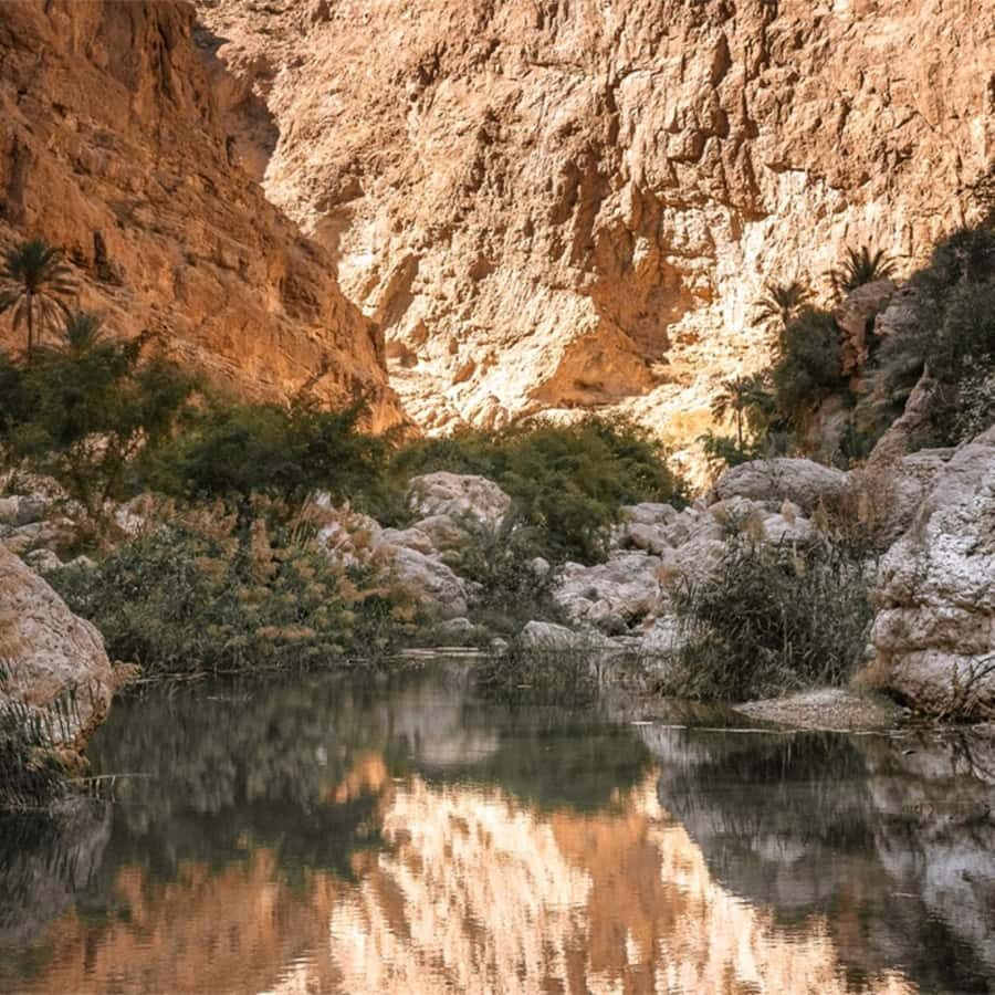 Muscat: Southern Treasures & Wadi Shab Tour with Audio Guide - Price and Value: Why $83 Can Make Sense for the Right Traveler