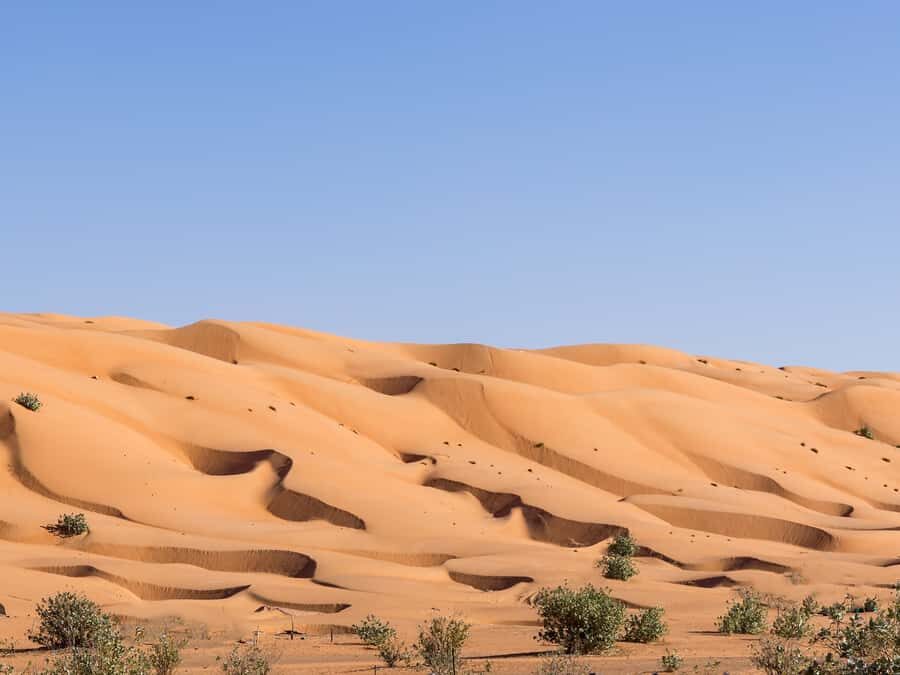 Muscat: Wahiba Sands Desert Sunset Tour with Dinner - Getting picked up and timed right: what can go wrong