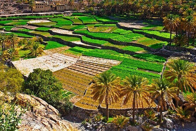 Nakhal Fort-Nakhal Hotspring-Wadi Bani Awf-Bilad Sayt - Private Full Day Tour - Wadi Bani Awf: the off-road drive that turns the whole day into an adventure