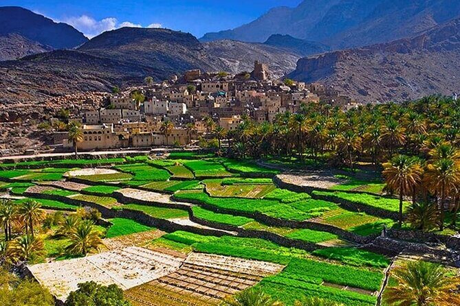 Nakhal Fort-Nakhal Hotspring-Wadi Bani Awf-Bilad Sayt - Private Full Day Tour - Price and value: why $202 per person can make sense here