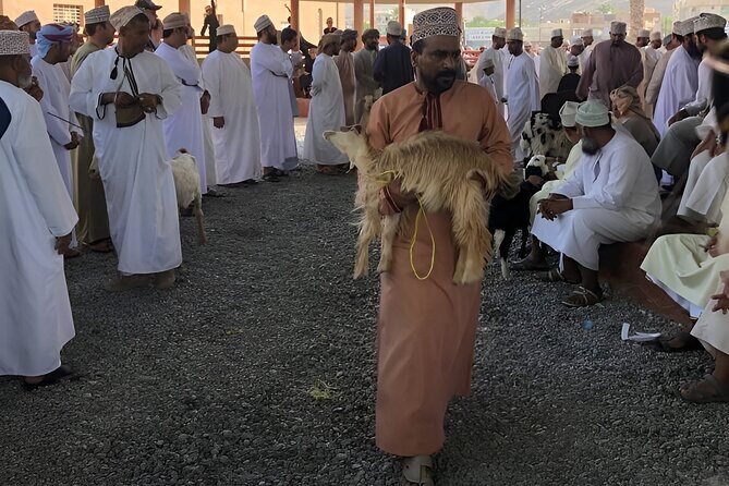 Nizwa and Oman's Historical Gems Tour - Falaj Daris Park: the UNESCO water story behind Nizwa’s survival