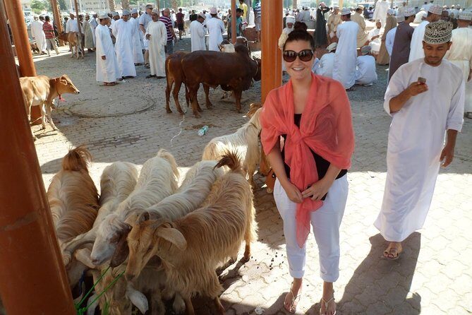 Nizwa Bahla & Jabrin Fort(Muscat tours) as private and custom trip - Price and Value: What $200 Covers (and When It’s Worth It)