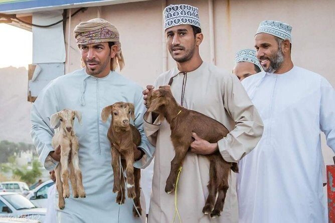 Nizwa Friday Market Jabal Chams - Price and value: what $381.86 per group buys you