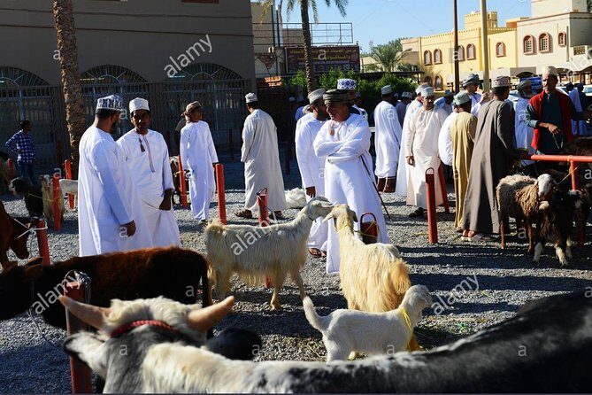 Nizwa Friday Market Jabal Chams - Nizwa Souq and Nizwa Fort: the culture anchor of the day
