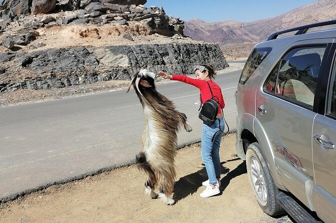 Nizwa. Hambra. Grand Canyon Oman - Hambra: the slower, more local pace you’ll feel right away