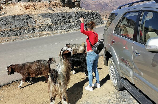 Nizwa. Hambra. Grand Canyon Oman - Oman Grand Canyon: getting the big scenery without over-planning