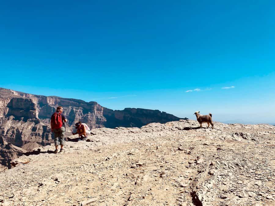Nizwa: Jebel Shams Balcony Walk and Via Ferrata Adventure - Timing and effort: how to match this tour to your fitness