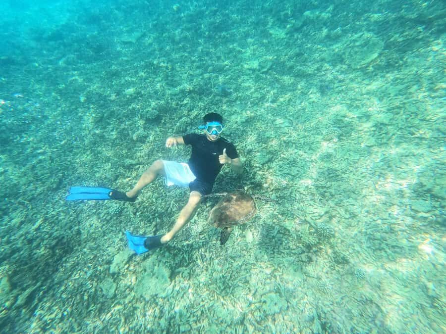 Oman: Daymaniyat Island Snorkeling Trip with Equipment - Should you book Bluewave’s Daymaniyat snorkeling trip?