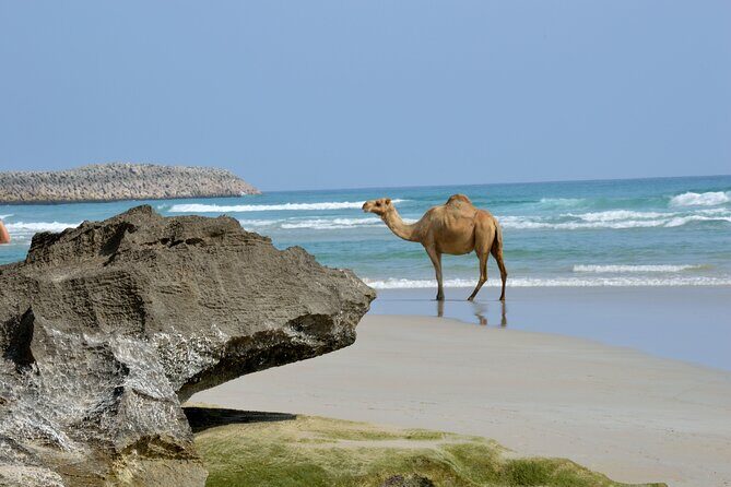 Private Caribian Orient (Swiming in Fazayeh Beach ) - Sahalnoot Spring: the calm break in limestone country